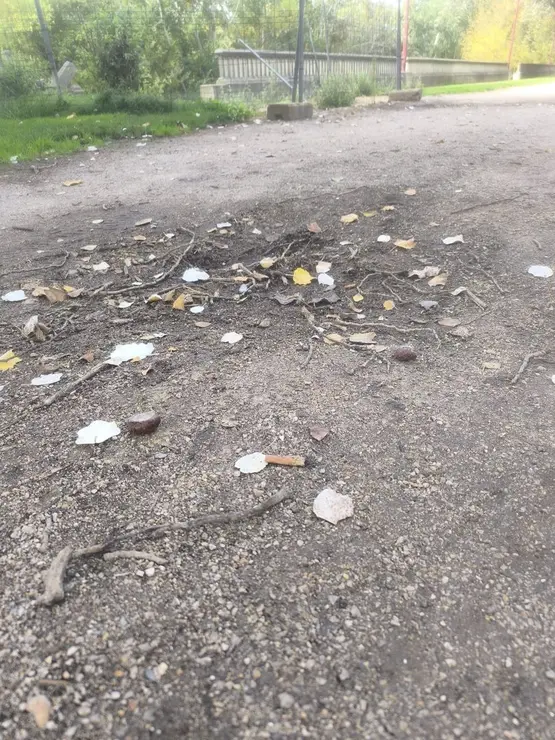 UPL exige el arreglo "urgente" del Paseo del Bernesga a su avanzado estado de deterioro a su paso por León. Foto: UPL
