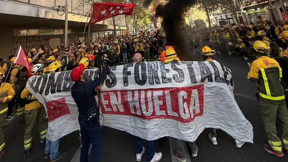 Bomberos forestales (4)