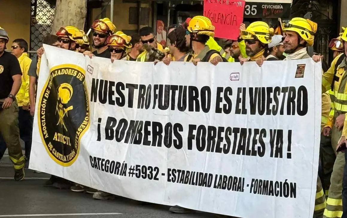 Bomberos forestales (5)