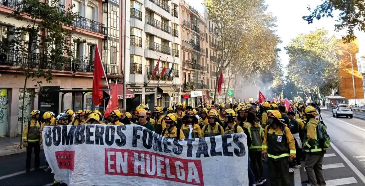 Bomberos forestales (6)
