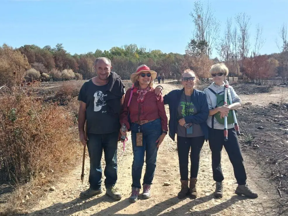 Voluntarias