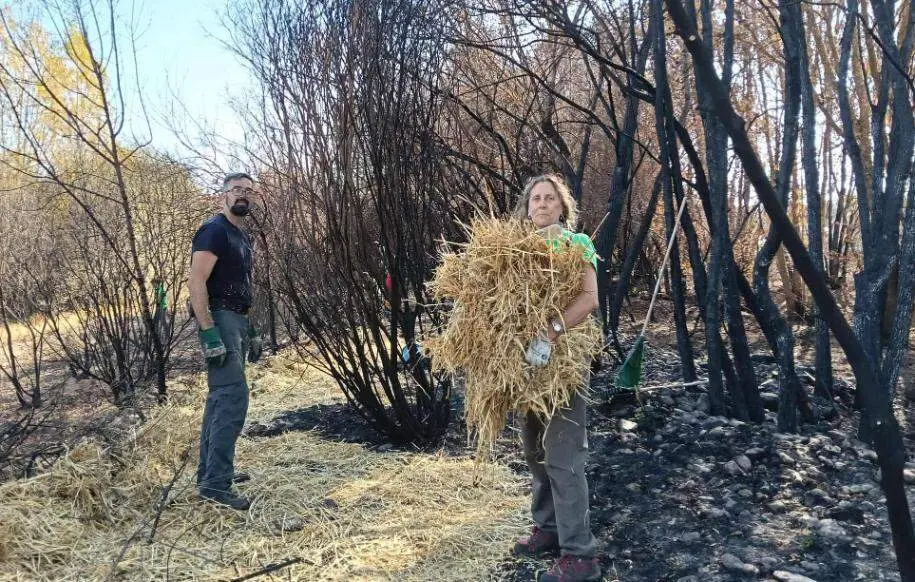 Voluntarios con paja