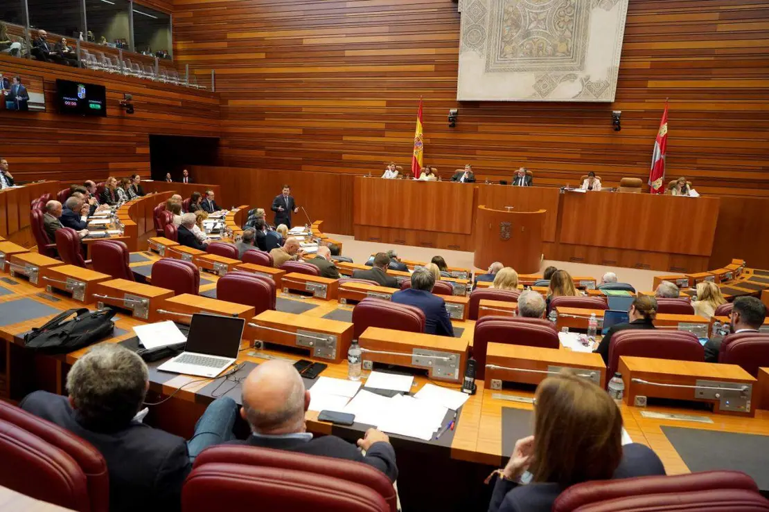 Pleno oCortes CyL (1)