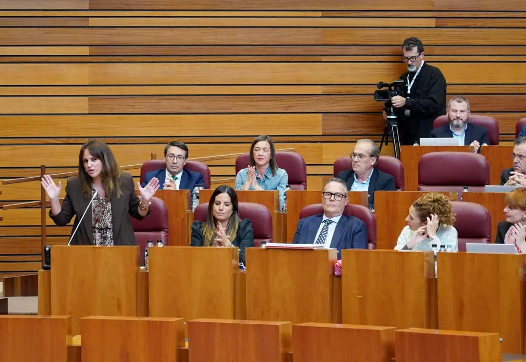 Pleno oCortes CyL (2)