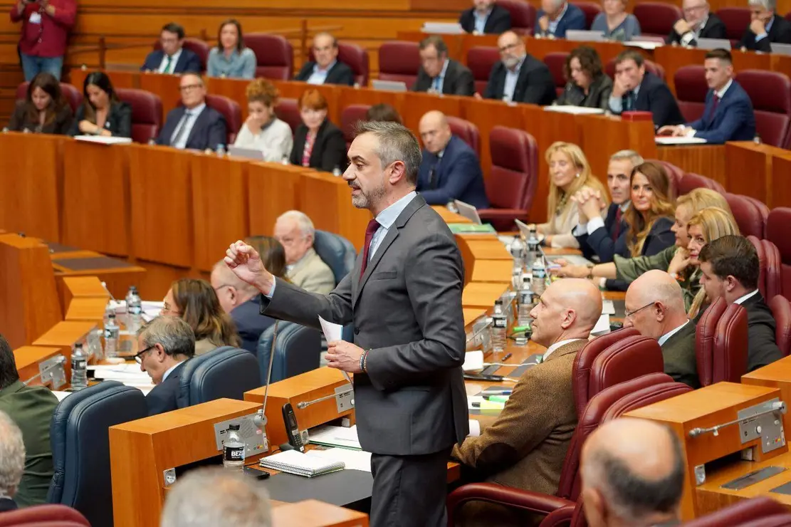 Pleno oCortes CyL (4)