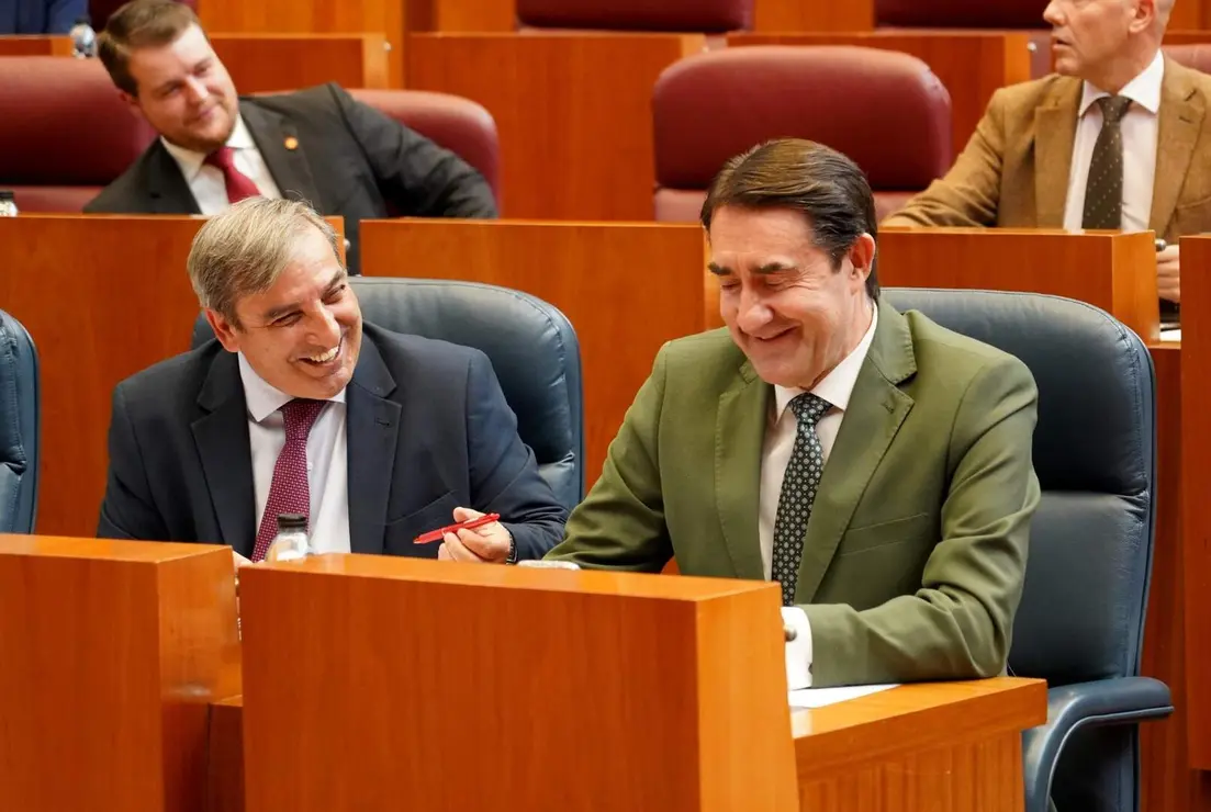 Pleno oCortes CyL (13)