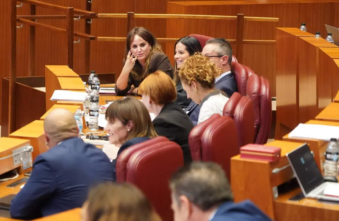 Pleno oCortes CyL (15)