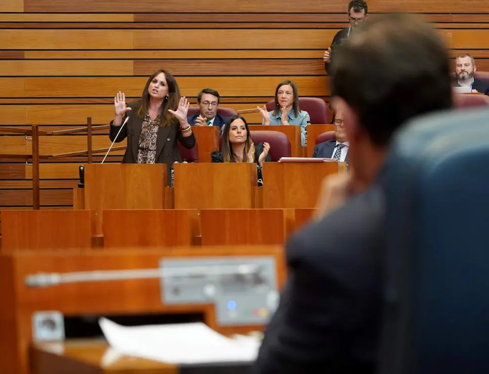 Pleno oCortes CyL (18)