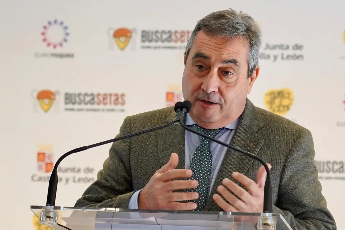 buscasetas (5)