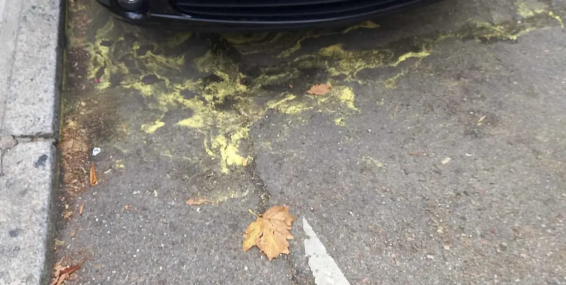 El barrio de San Claudio se tiñe de amarillo cada vez que llueve. Los vecinos de León capital denuncian  la aparición recurrente de manchas amarillas en las calles del barrio La explicación no existe a este fenómeno si bien se apunta al polen de las coníferas del Paseo de la Condesa como posible causa. Fotos: A.V.
