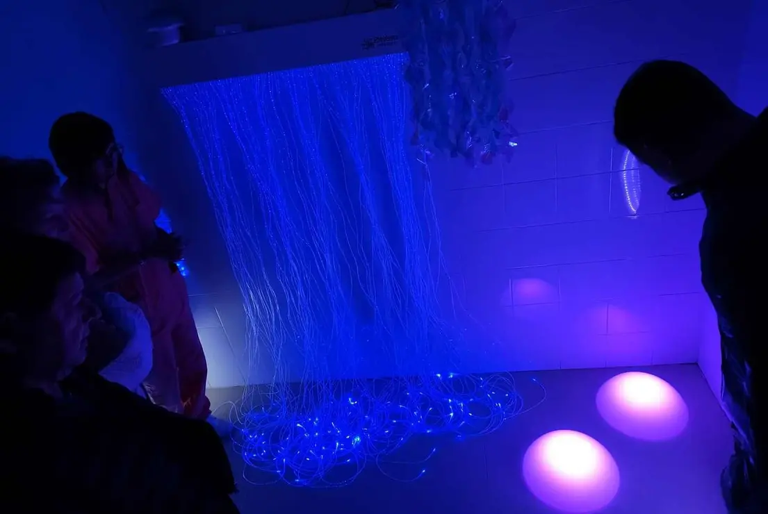 Valencia de Don Juan (5)