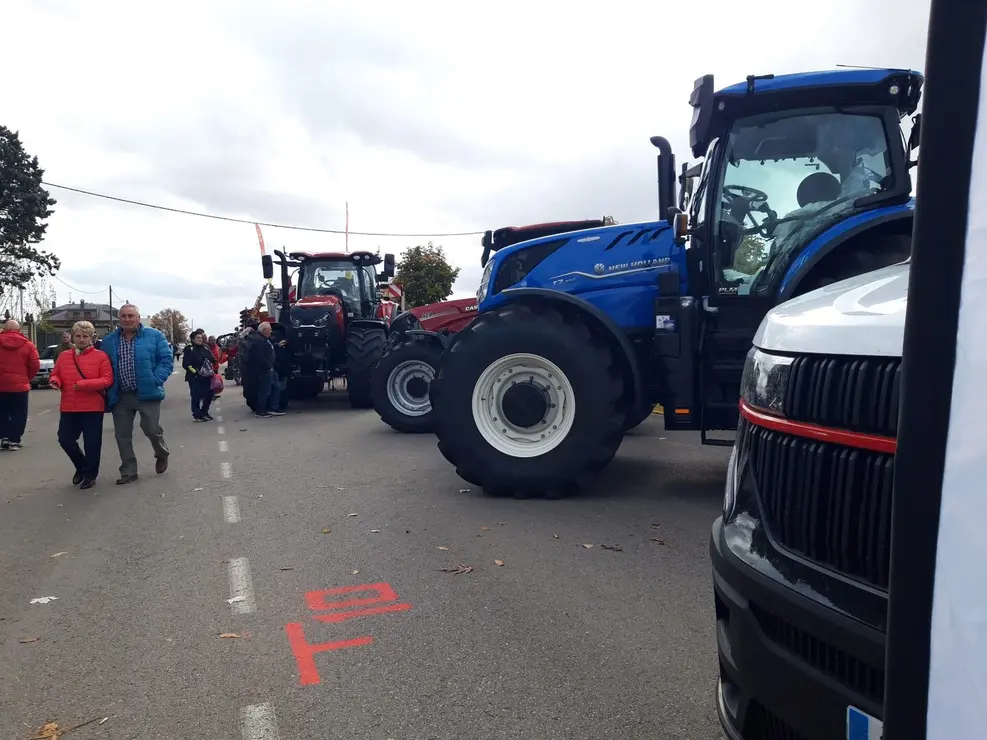 Mansilla de las Mulas (3)