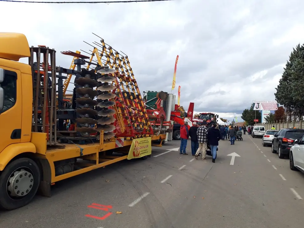 Mansilla de las Mulas (4)