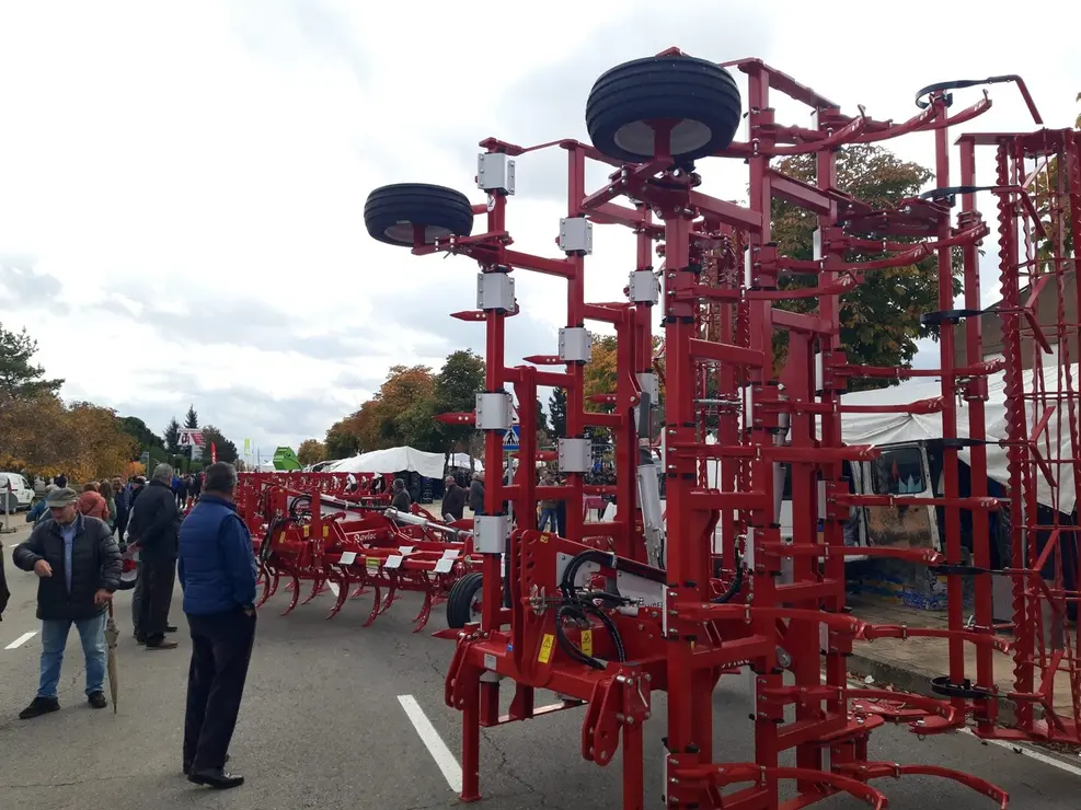 Mansilla de las Mulas (6)