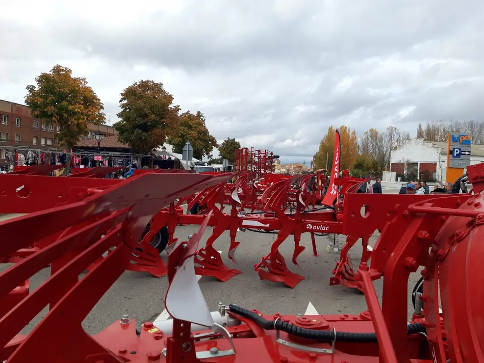 Mansilla de las Mulas (7)