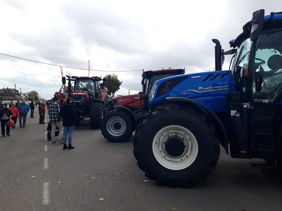 Mansilla de las Mulas (8)