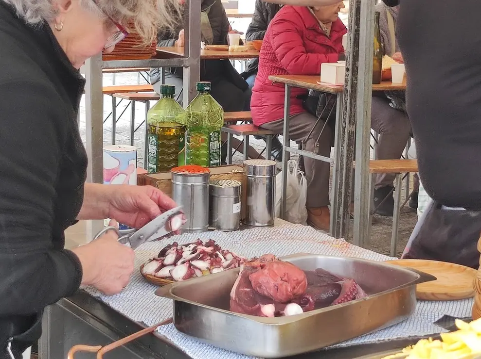 Mansilla de las Mulas (9)