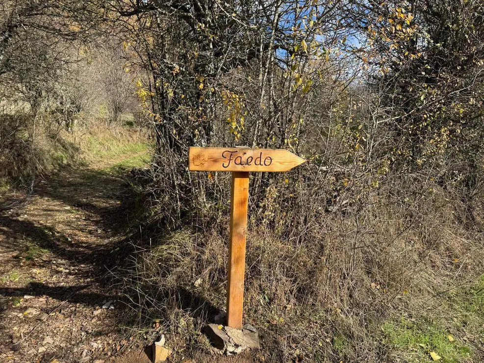 Faedo (1)