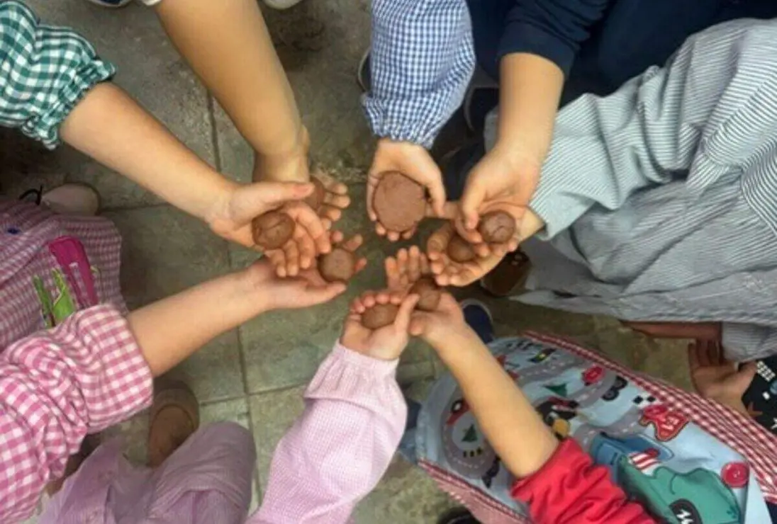 Bombas de semillas 2