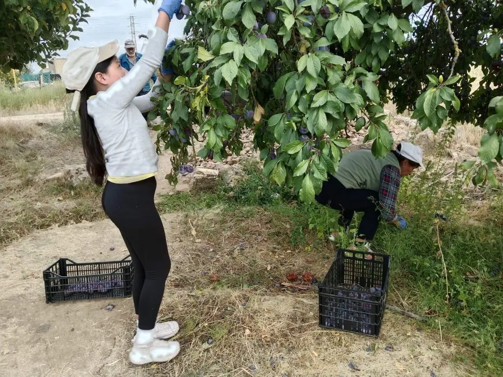 WhatsApp Image 2025-11-19 at 12.52.30 (1)