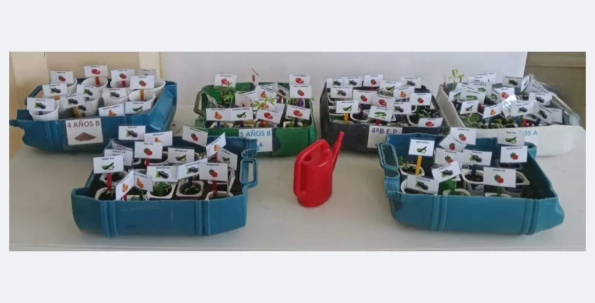 WhatsApp Image 2025-11-19 at 12.52.30 (2)