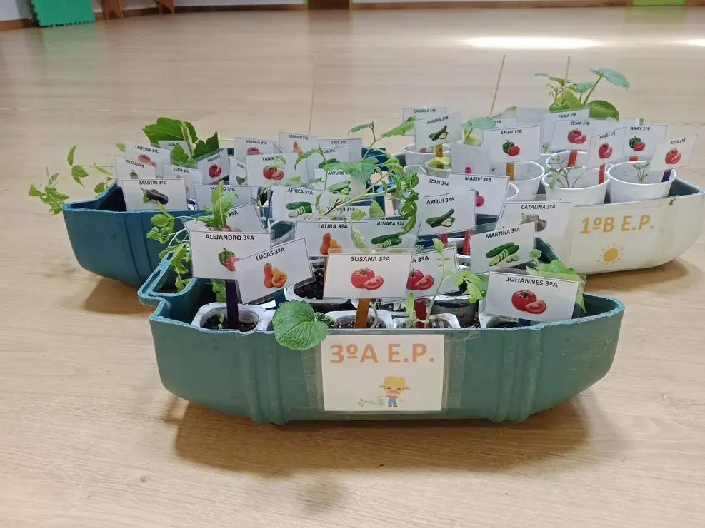 WhatsApp Image 2025-11-19 at 12.52.31 (2)