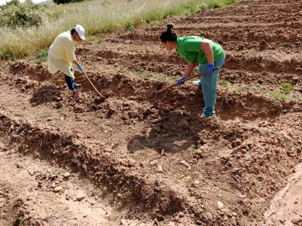 WhatsApp Image 2025-11-19 at 12.52.31