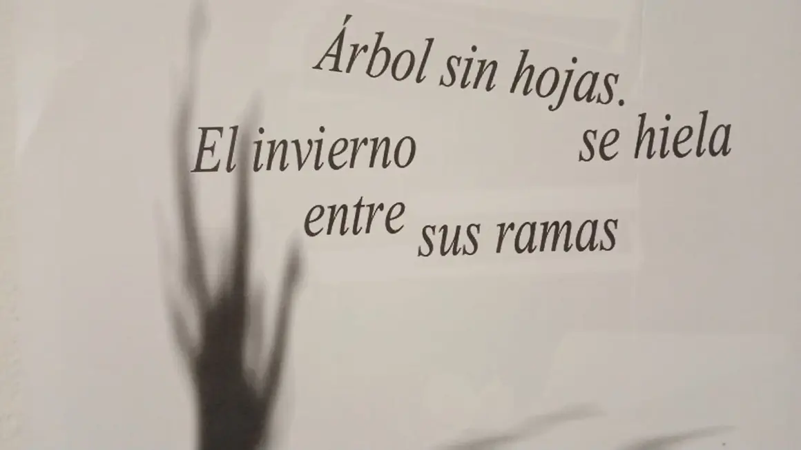 Exposición INSTANTES DE CRISTAL de Gustavo Verga  en la Galería IAa7efcc89-f8f5-44e6-bab5-3a3ec2f206dd