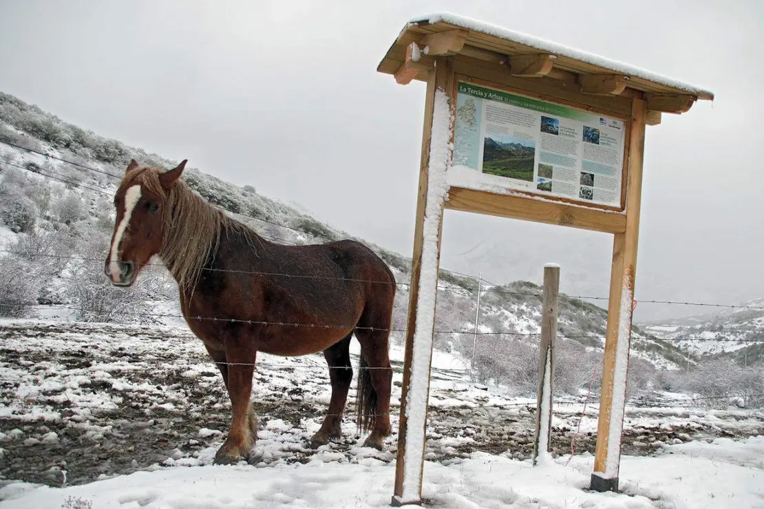 La primera nevada de la temporada llega a las cumbres de la vertiente leonesa de la Cornisa Cantábrica. Foto: Peio García
