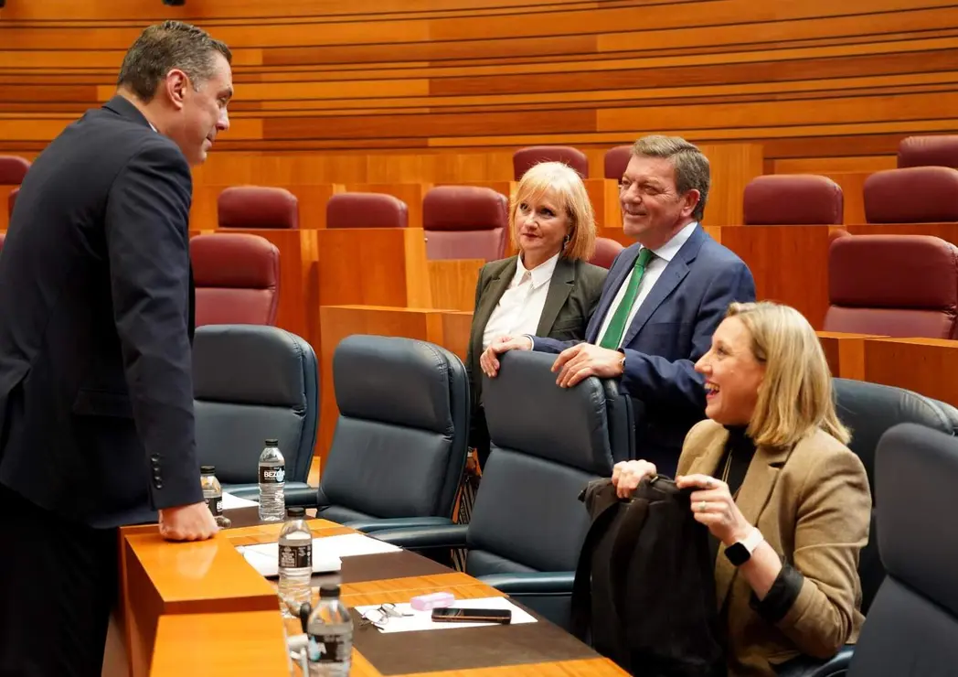 Cortes de Castilla y León (4)