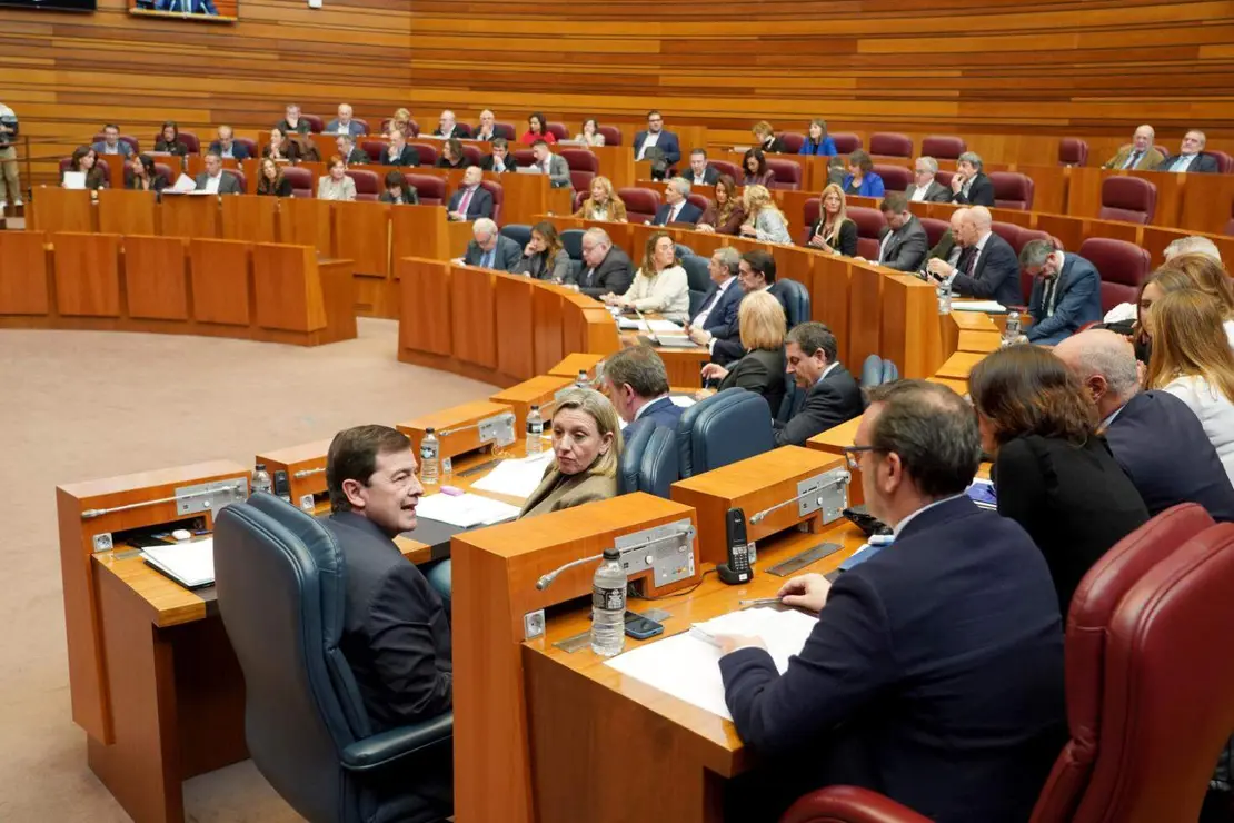 Cortes de Castilla y León (5)