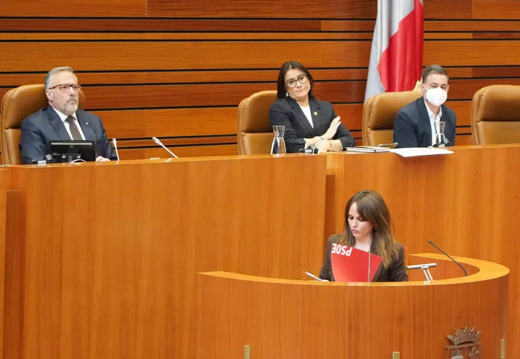 Cortes de Castilla y León (7)