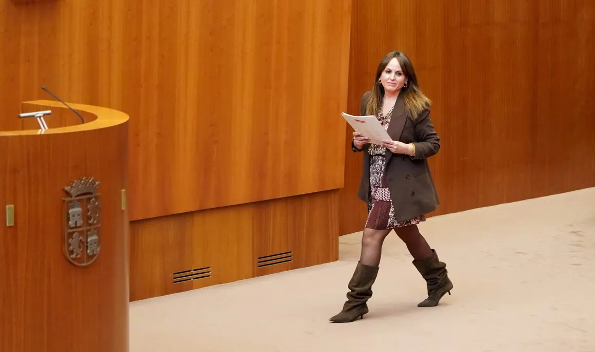 Cortes de Castilla y León (8)