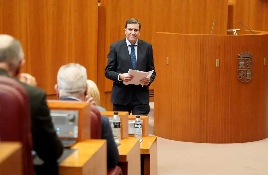 Cortes de Castilla y León (9)