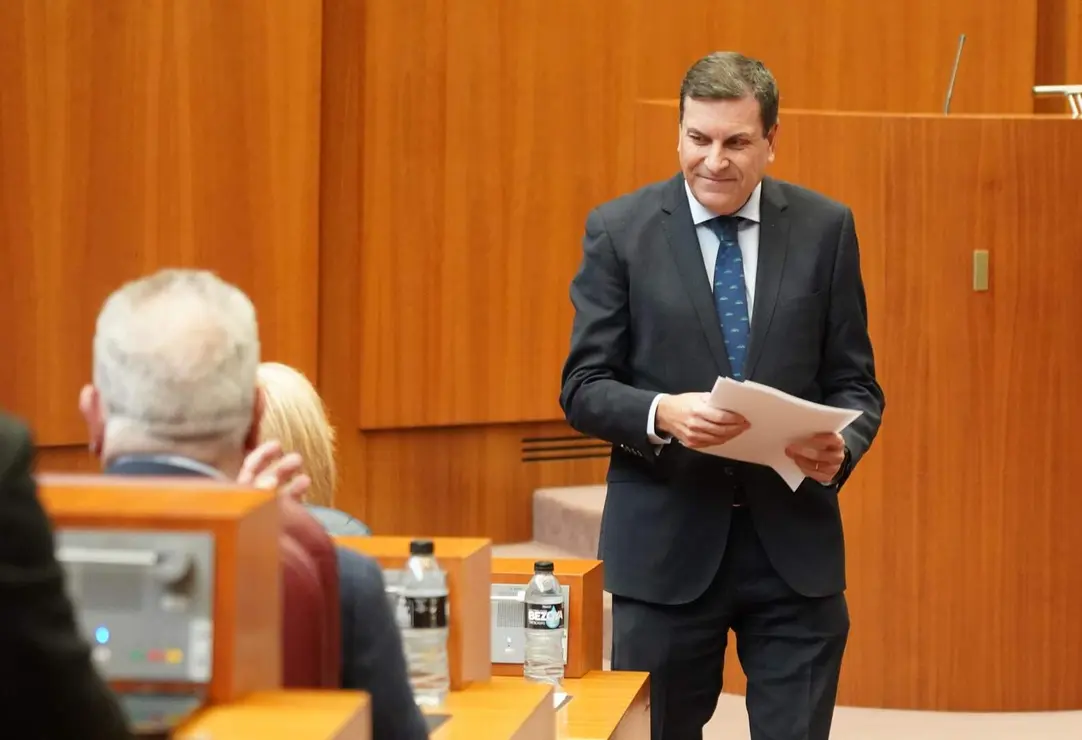 Cortes de Castilla y León (10)