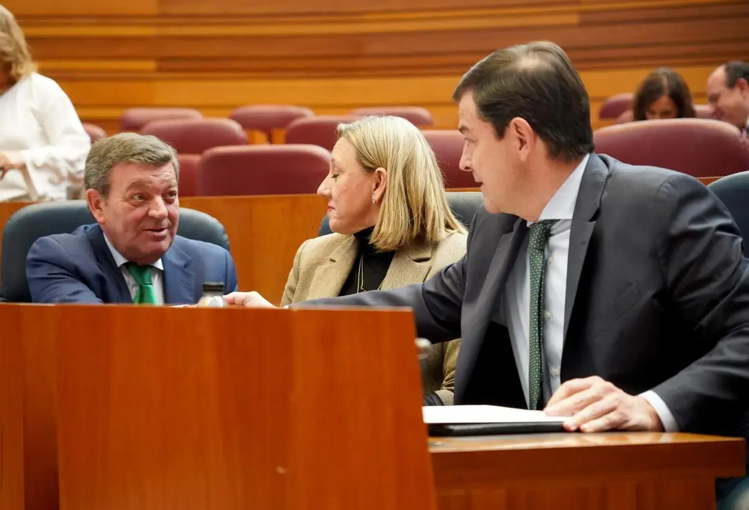 Cortes de Castilla y León (13)