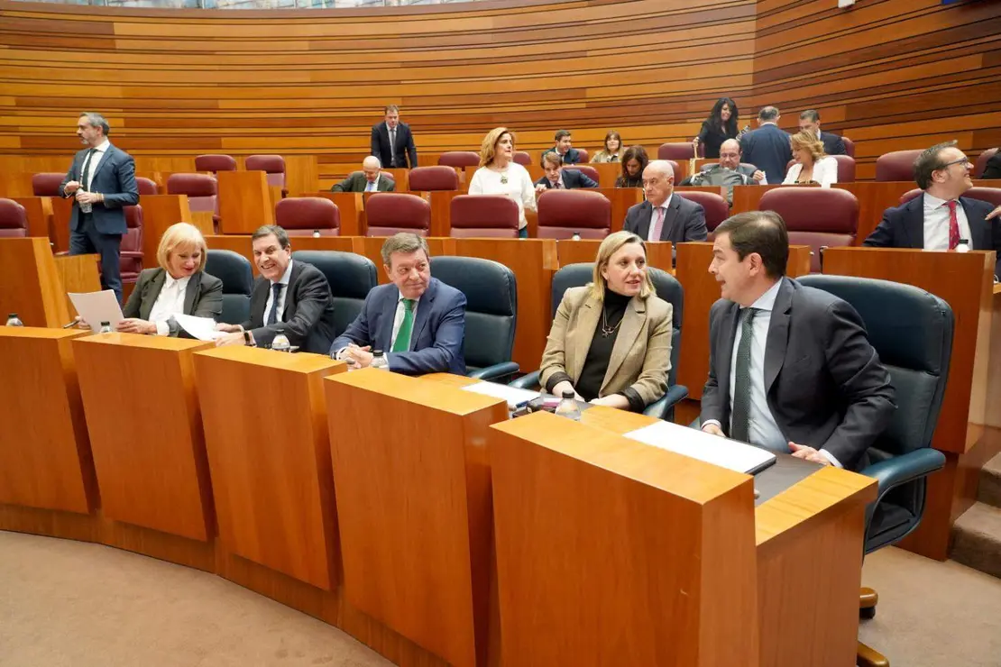 Cortes de Castilla y León (14)