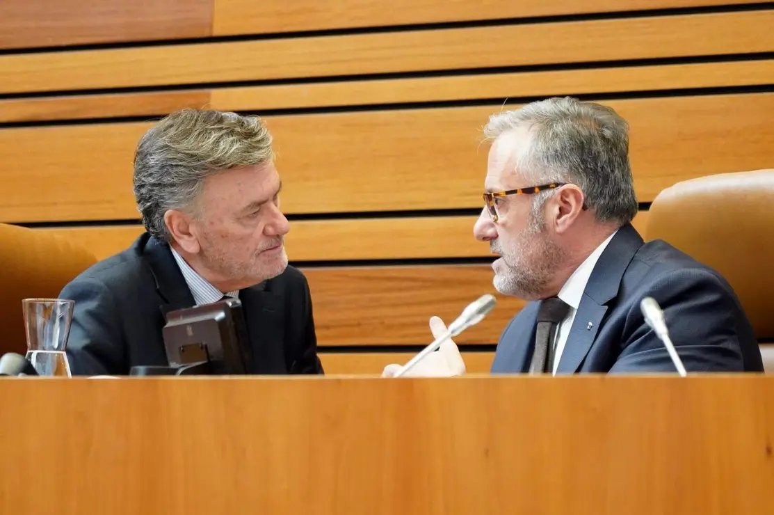 Cortes de Castilla y León (15)