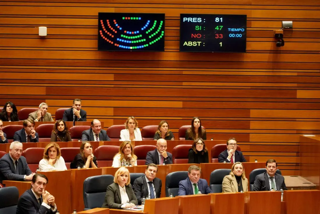 Cortes de Castilla y León (16)