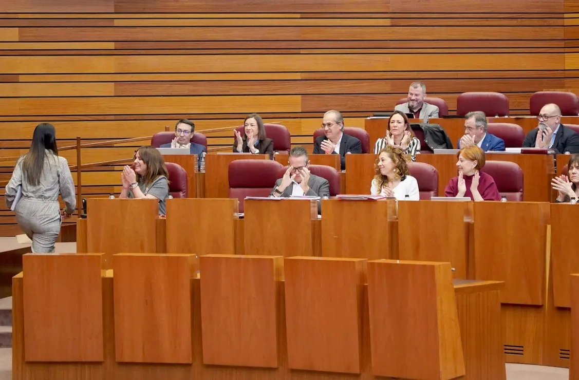 Pleno de las Cortes Foto Leticia Pérez (4)