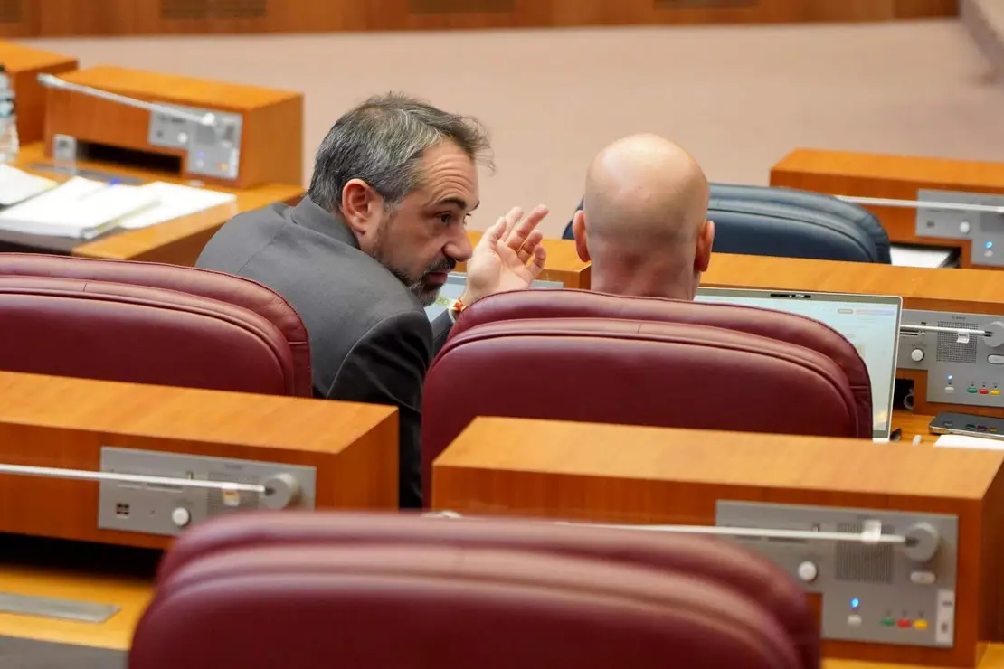 Pleno de las Cortes Foto Leticia Pérez (7)