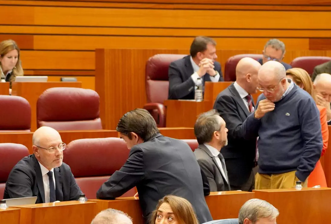 Pleno de las Cortes Foto Leticia Pérez (11)