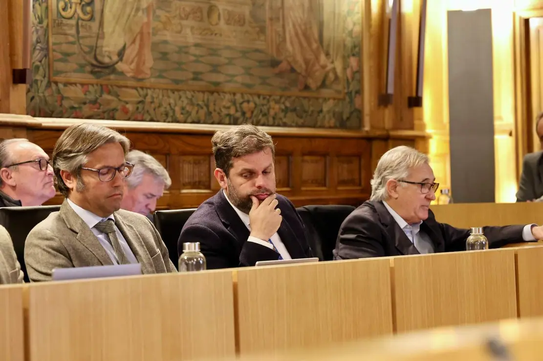 Pleno Diputación de León (14)