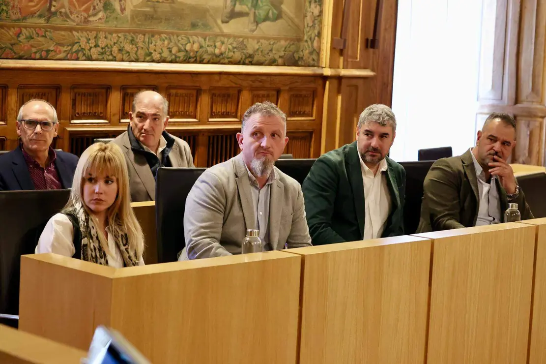 Pleno Diputación de León (15)