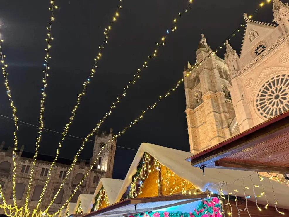 Mercadillo de Navidad León Catedral (9)