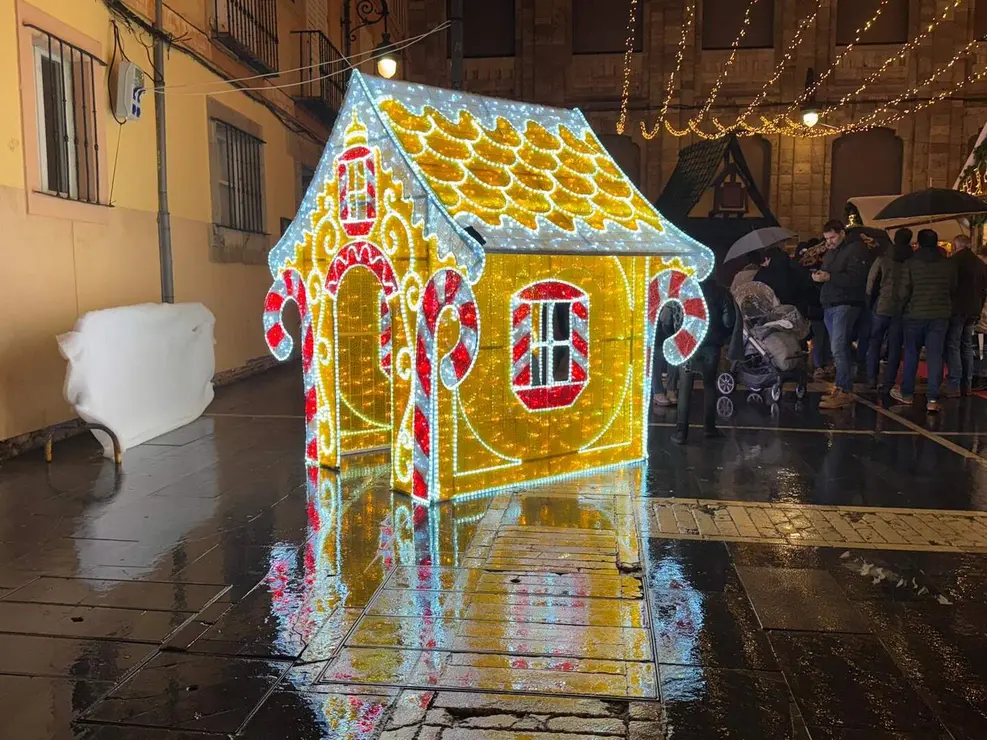 Mercadillo de Navidad León Catedral (16)