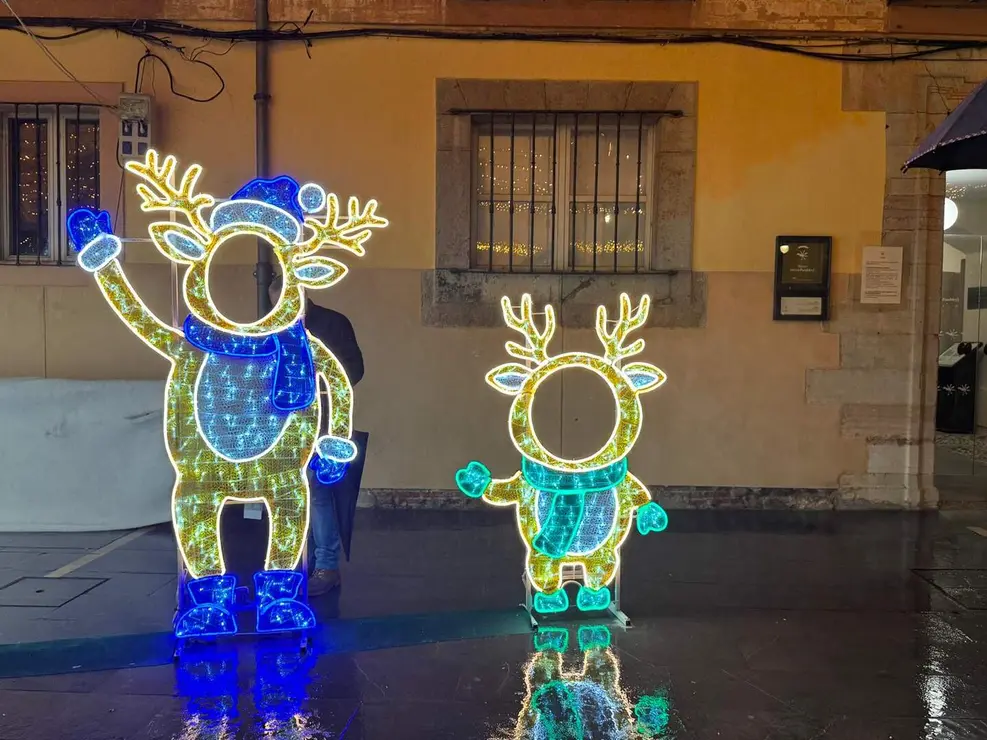 Mercadillo de Navidad León Catedral (17)