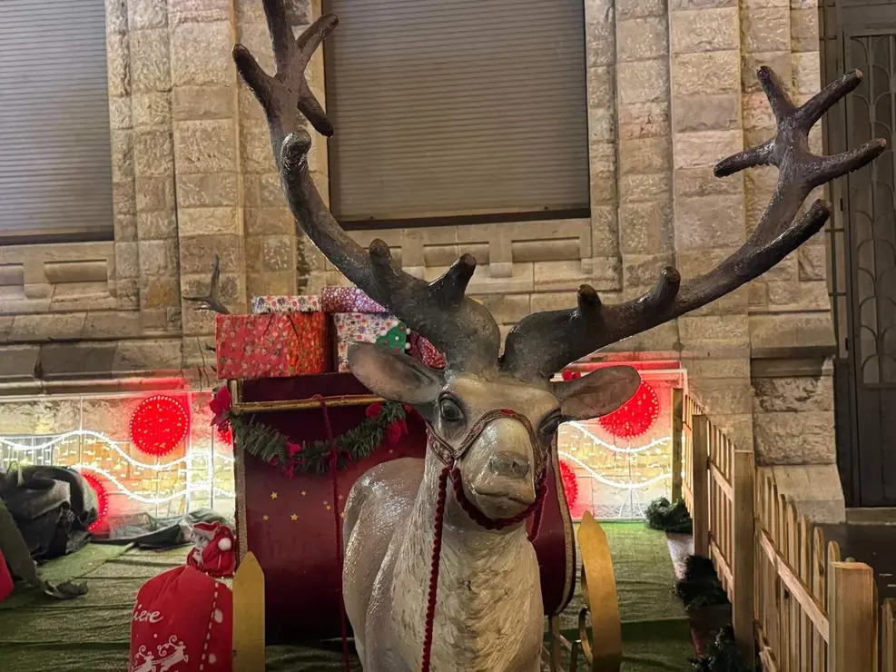 Mercadillo de Navidad León Catedral (22)