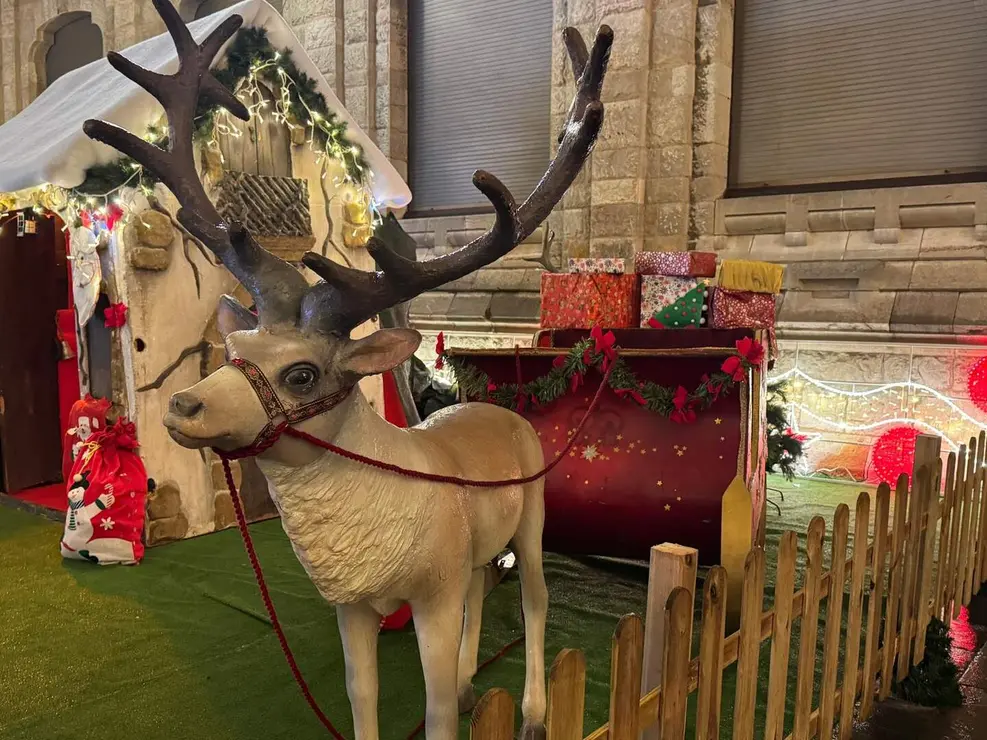 Mercadillo de Navidad León Catedral (23)