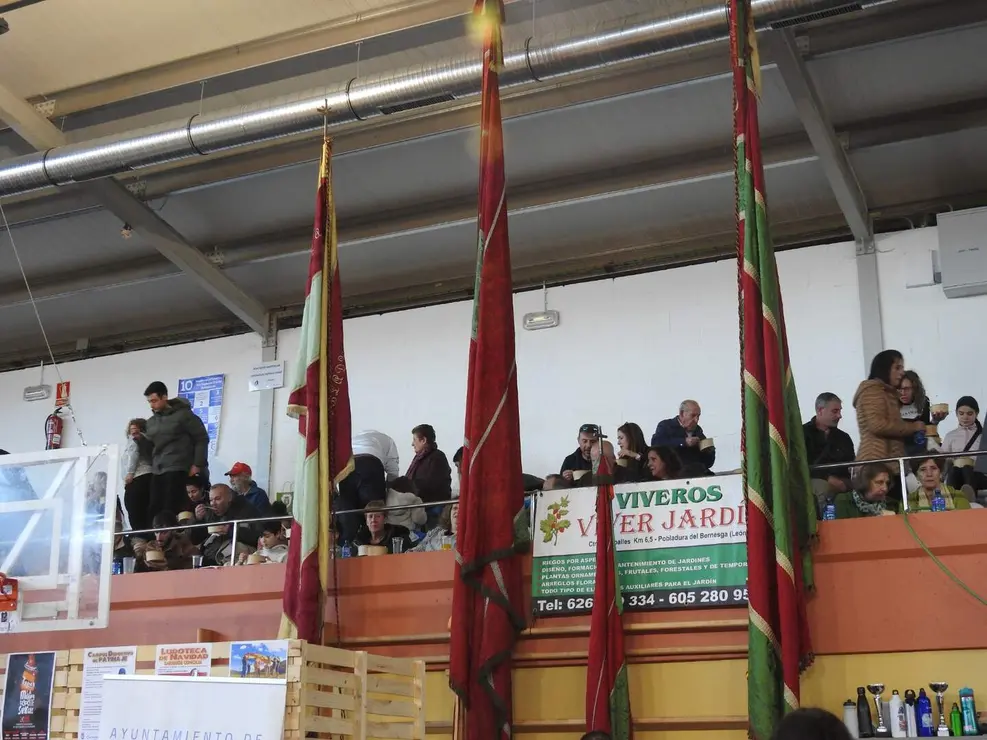 WhatsApp Image 2025-11-30 at 16.43.44 copia 5